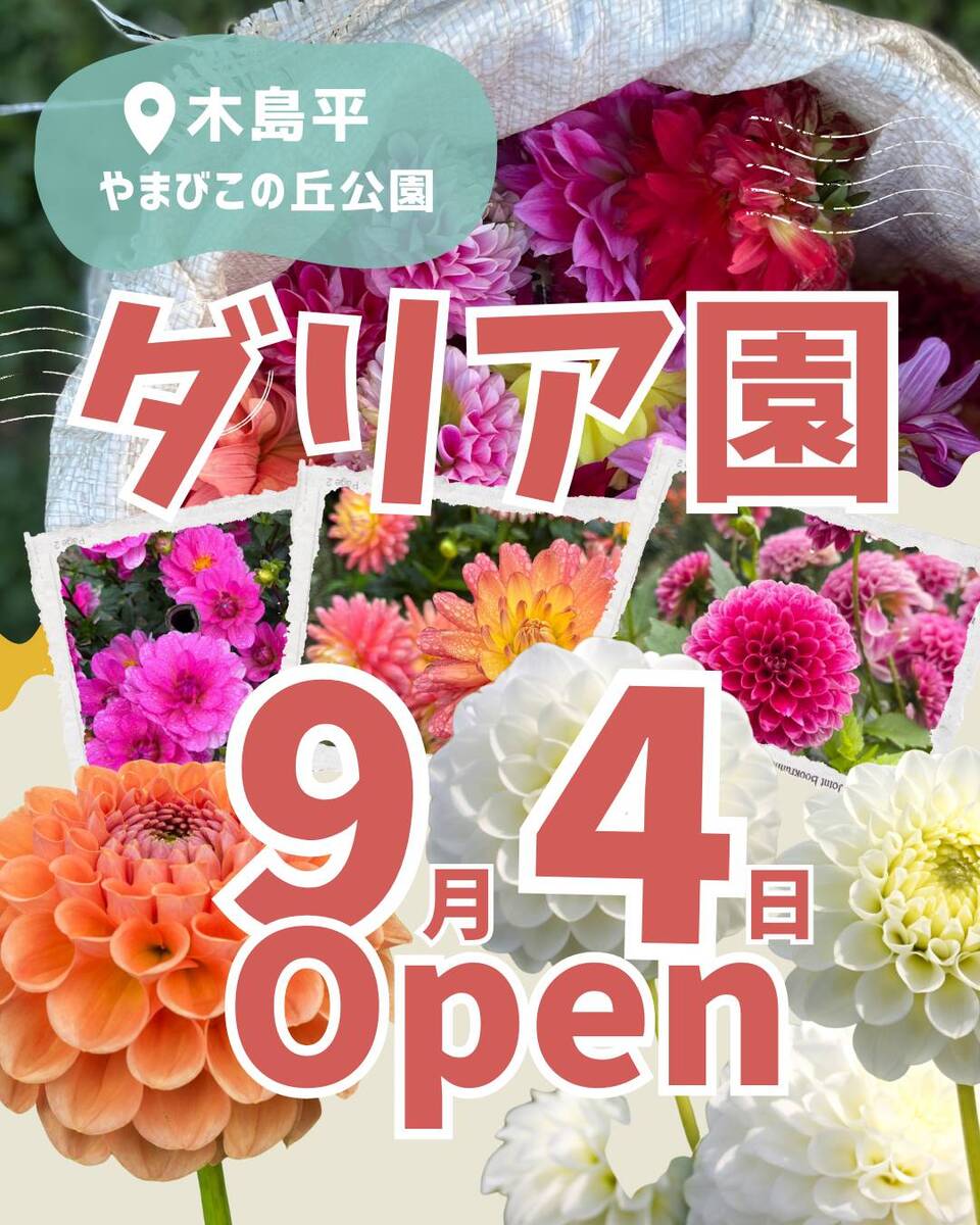 9月４日ダリア園OPEN